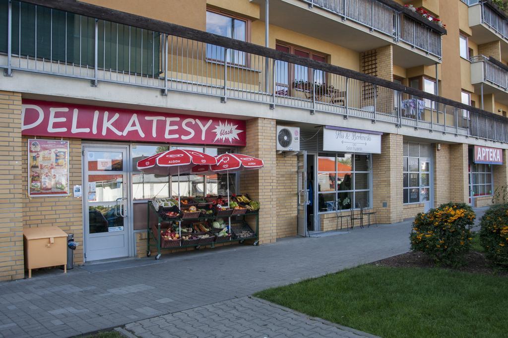 Alternatywy 4