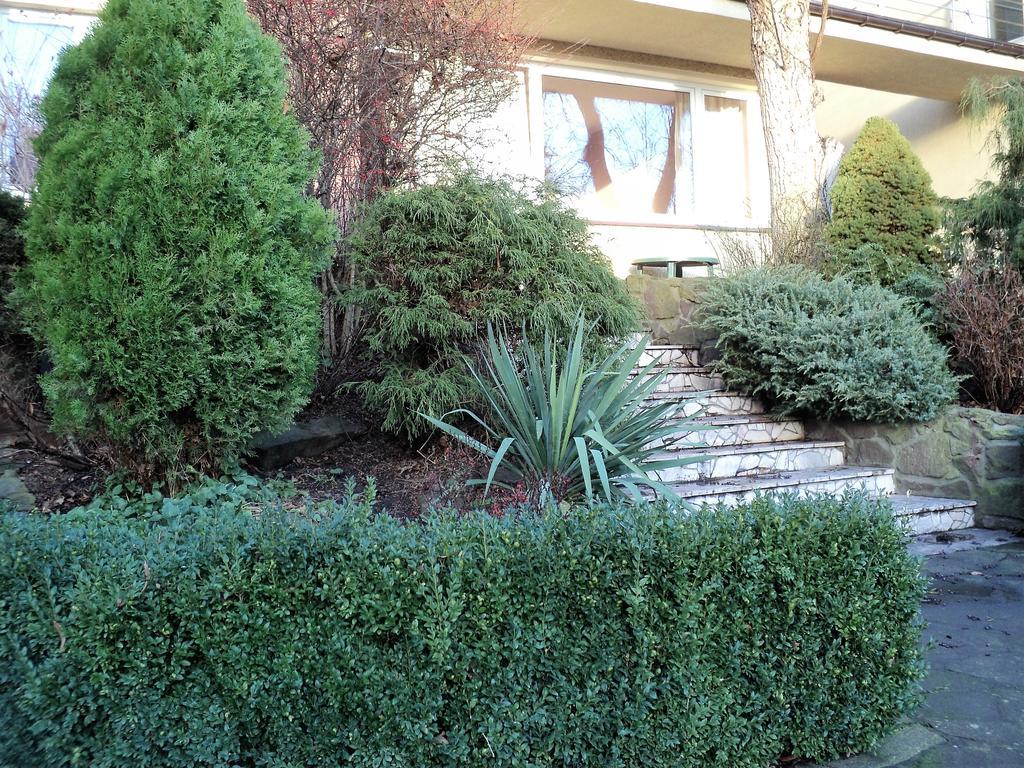 Slowicza Guest house