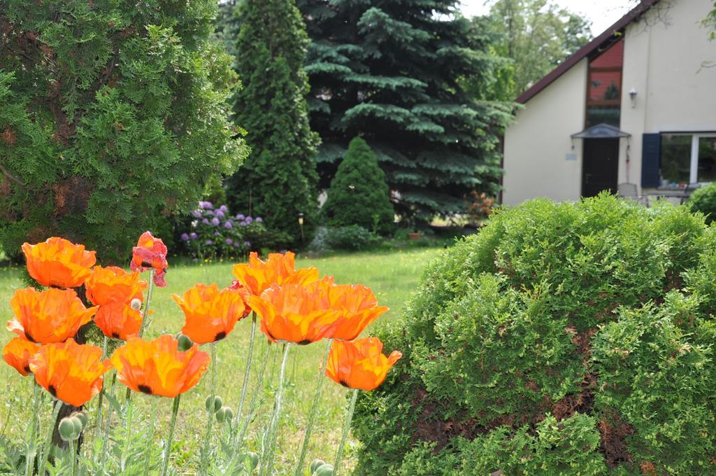 Apartment Be Well 3-rooms With Parking And Garden
