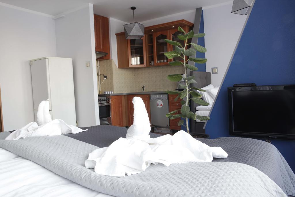 Apartment Magnetic Studio Odkryta *