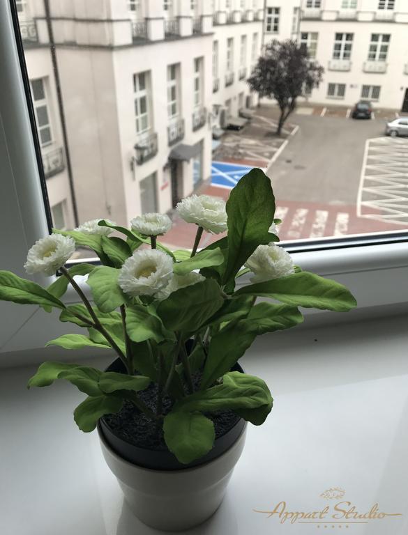 Appartstudio Viktoria Apartment *