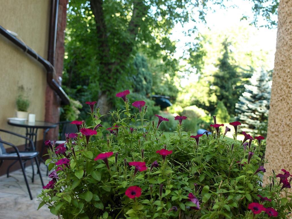 Slowicza Guest house