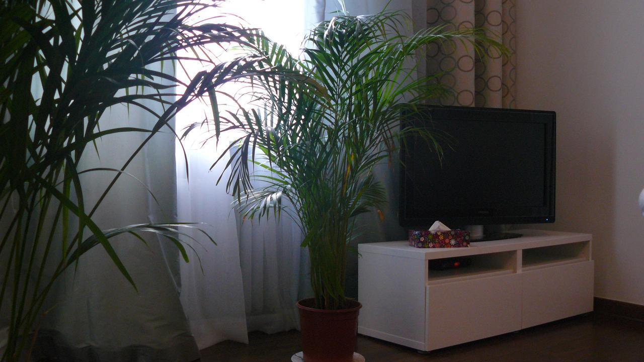 Apartment Apartament Chmielna *