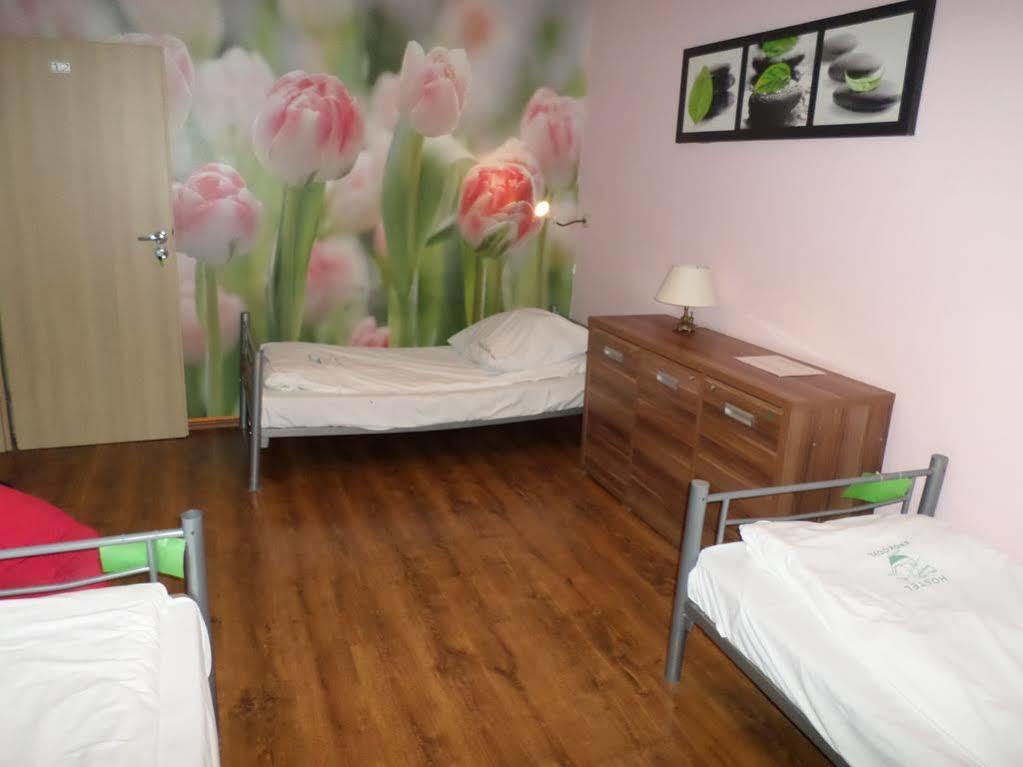 Krokodyl Albergue *