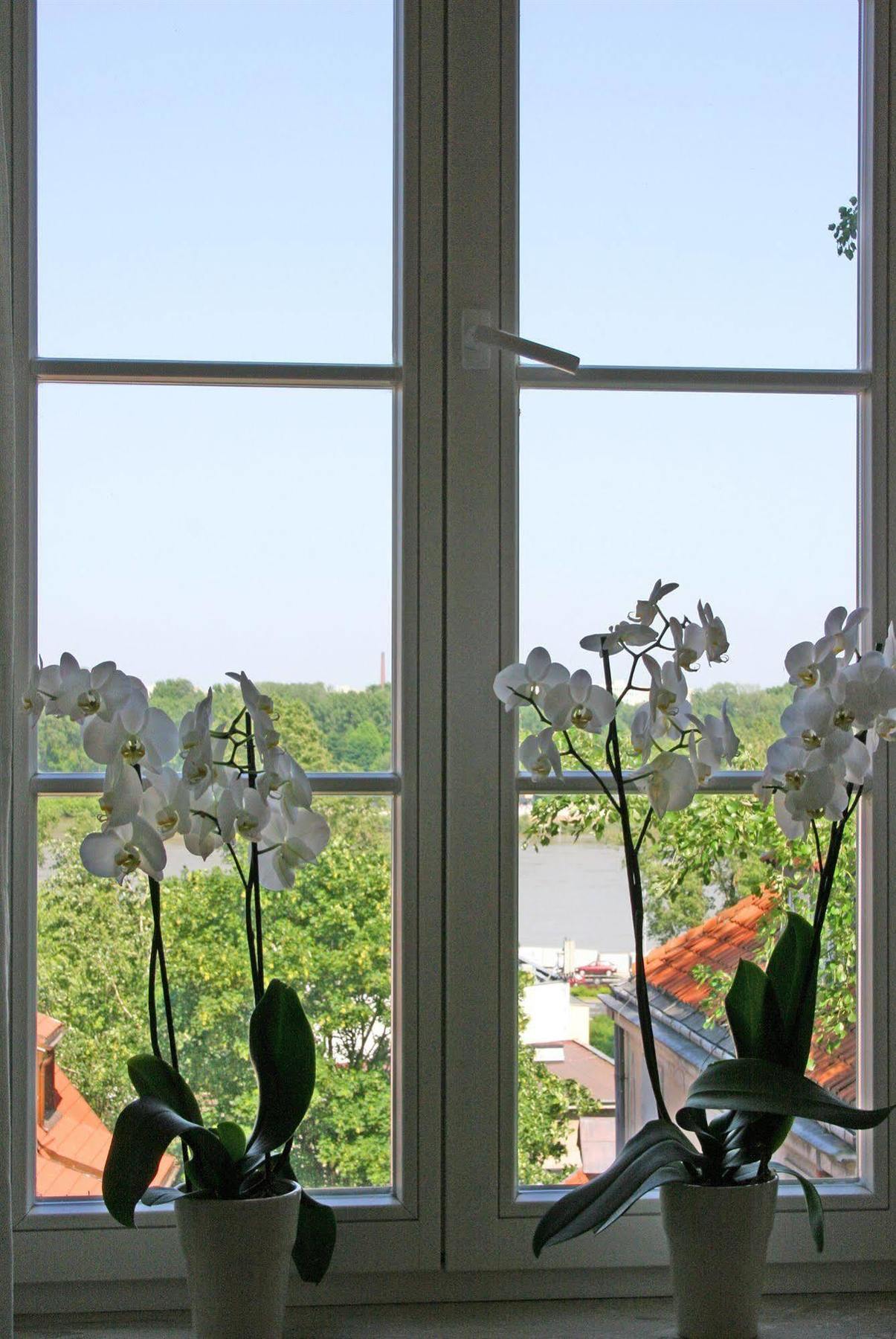 Apartament Rycerska - Stone Steps Warszawa
