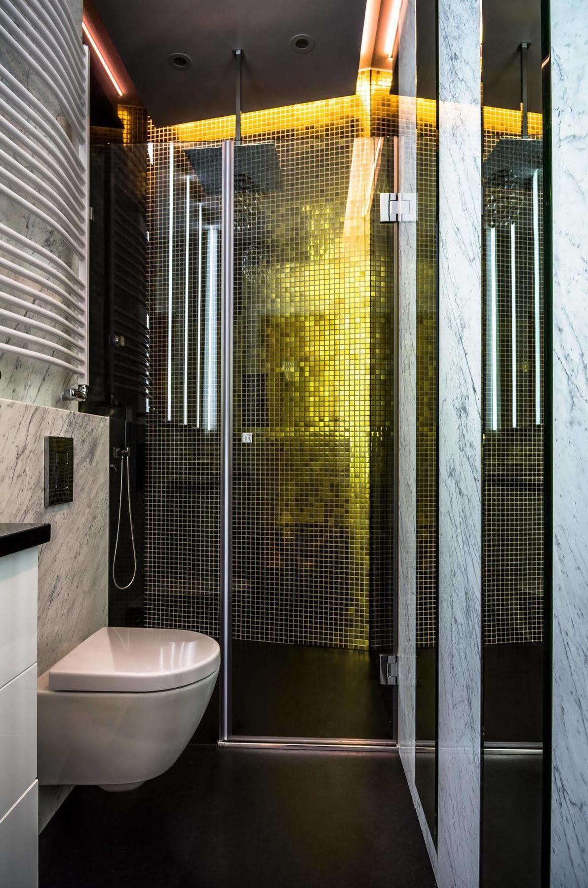 Apartament Okolnik *