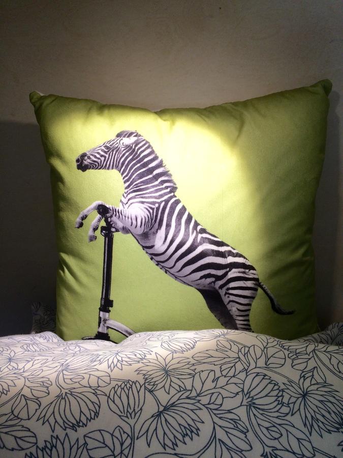 Tapir * Warschau