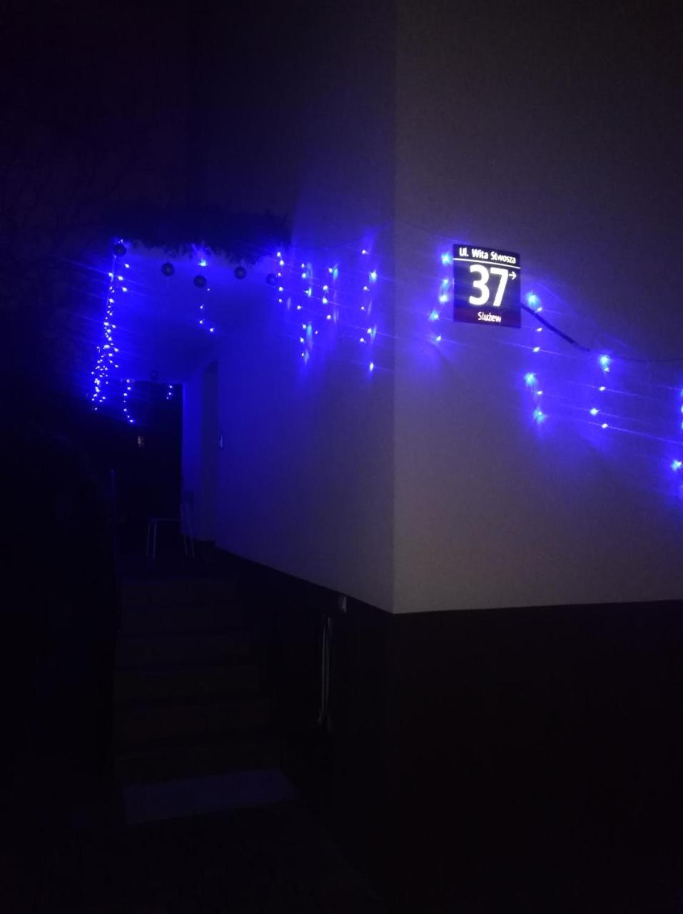 Hostel Willanow