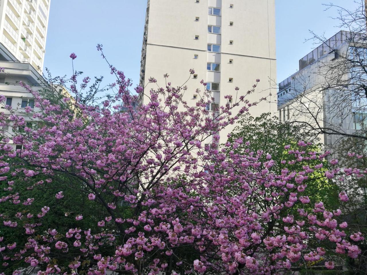 Nhà trọ Hipstel *