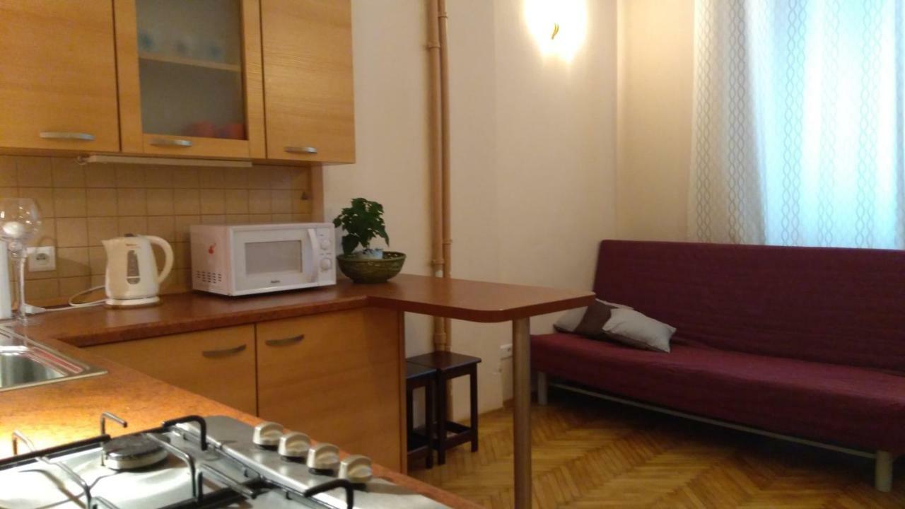 Apartment Zelazna