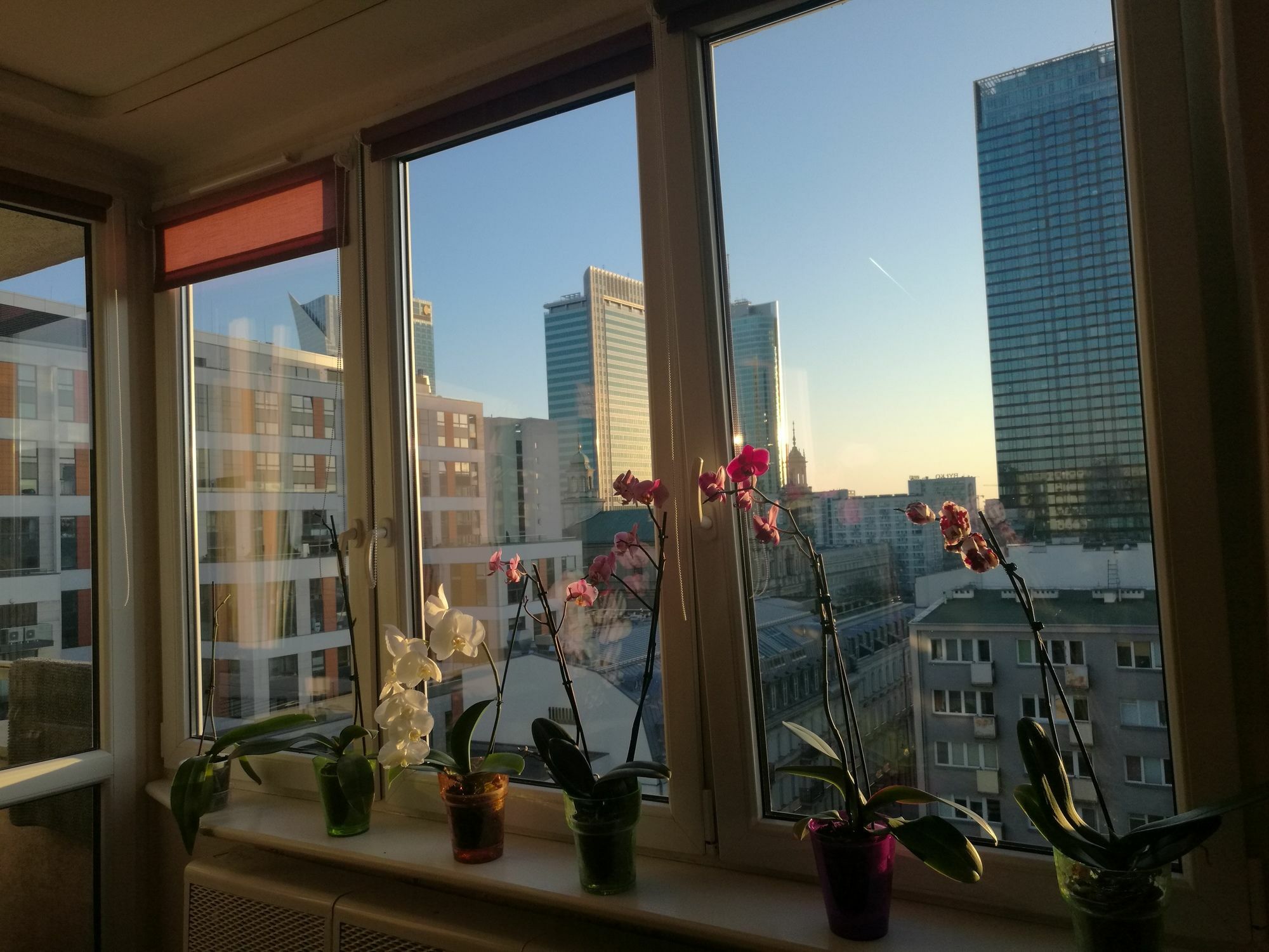 Zielna Center * Warsaw