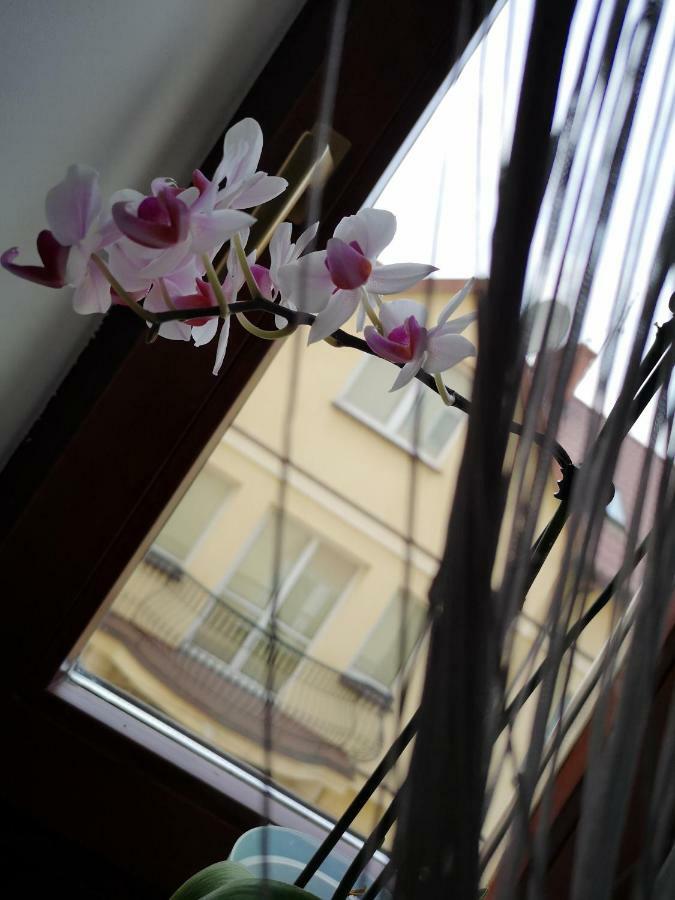 Albergue Danhostel *