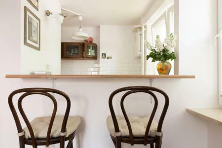 Apartament Pod Rozowa Swinka Apartment Warsaw