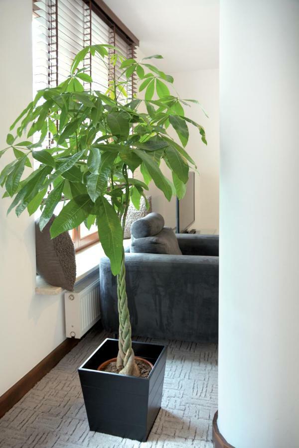 Apartament Szucha