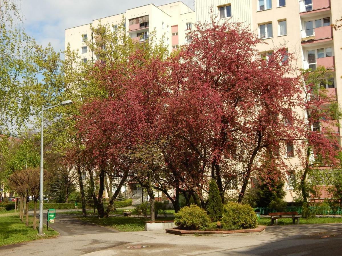Apartment Apartament Luxury Business Saska Kepa *