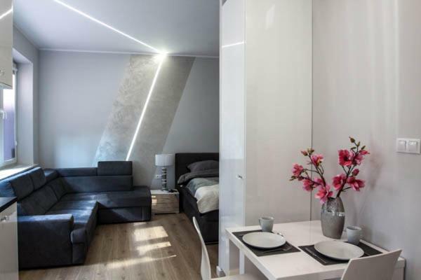 Apartament Novel