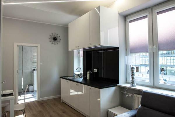 Apartament Novel