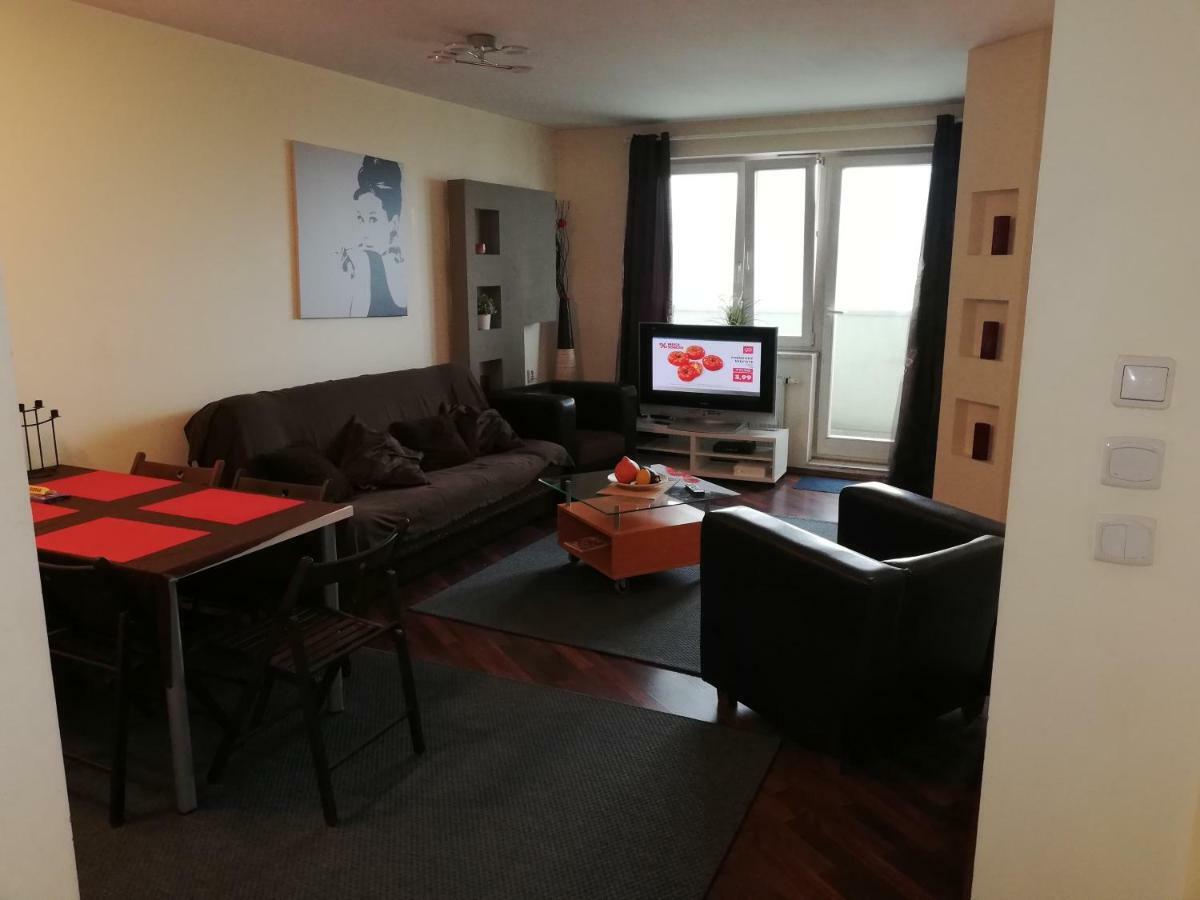 Top Loft With Swimming Pool Apartment