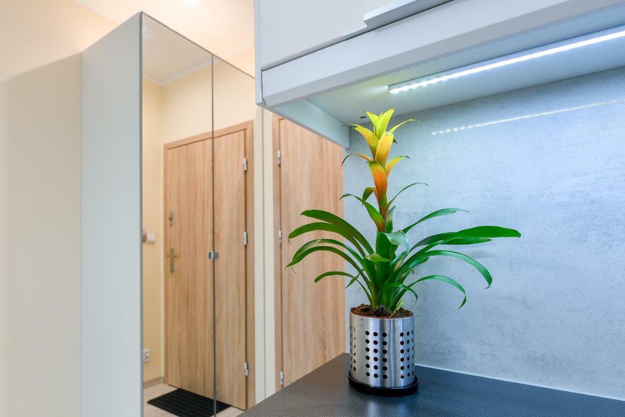 Apartament Moko Ii