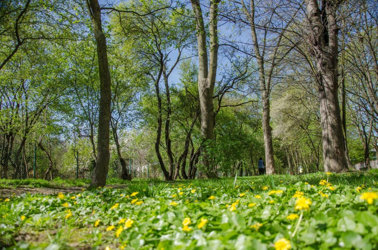 Apartament Parkowy Chodkiewicza *
