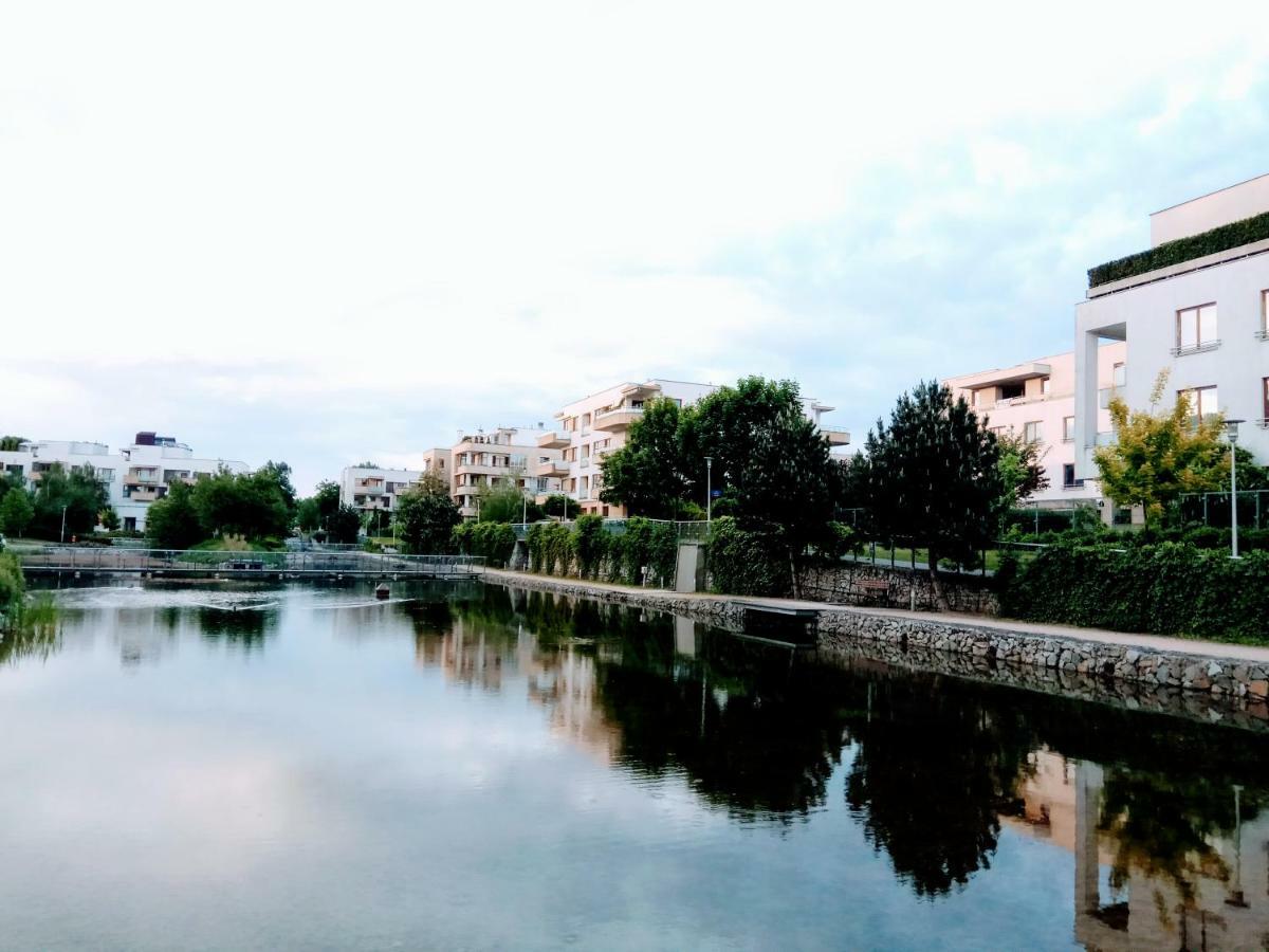 Apartamento M&r Apartament: Airport-adjacent Business With Terrace