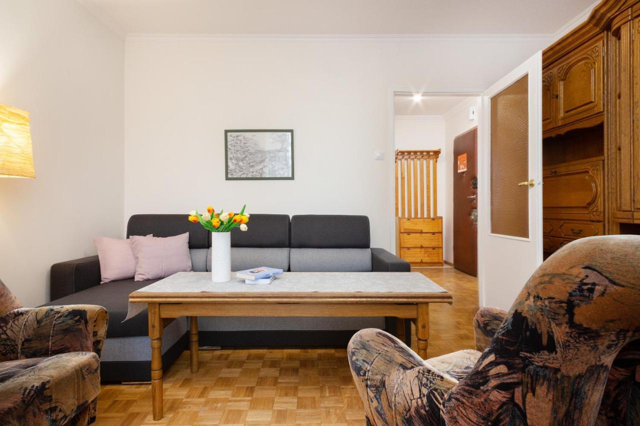 Comfy & Spacious By Renters Apartment