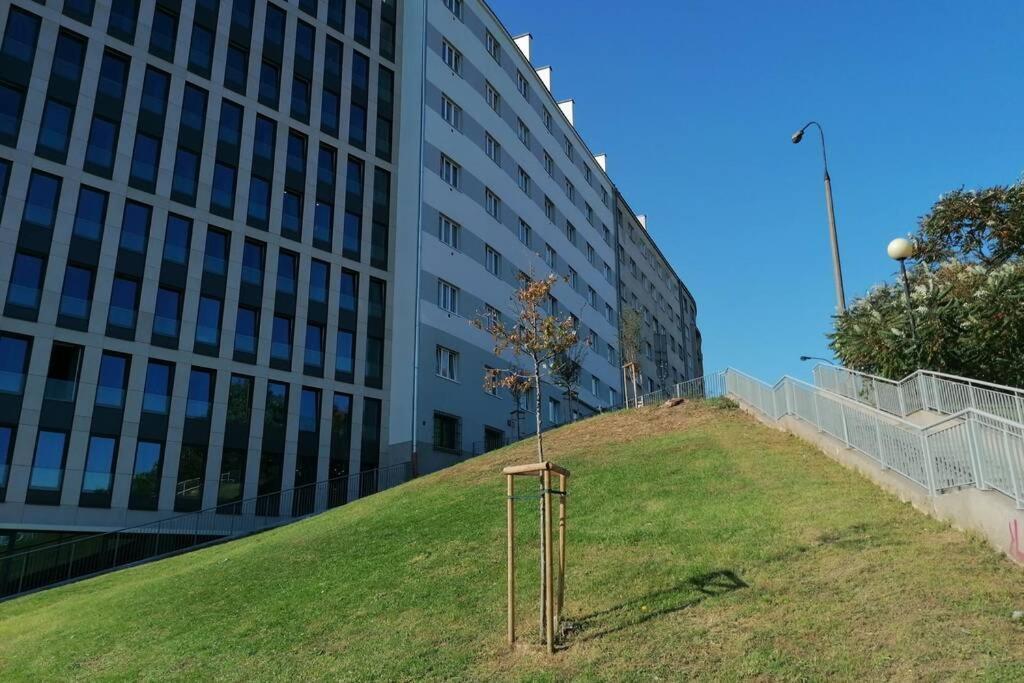 Apartament New In Heart Of Warszawa