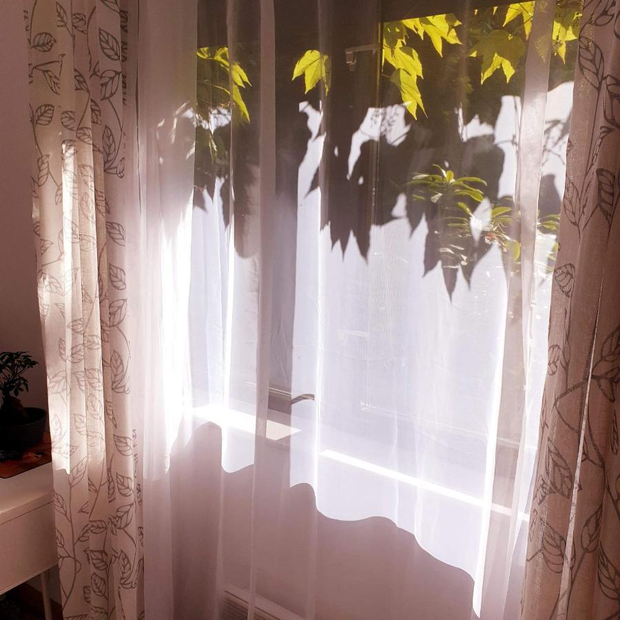 Ochota Forest Guest house *
