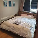 Ohmyhome Zlota Colors