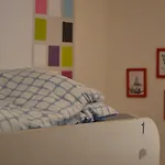 Tapir Hostel