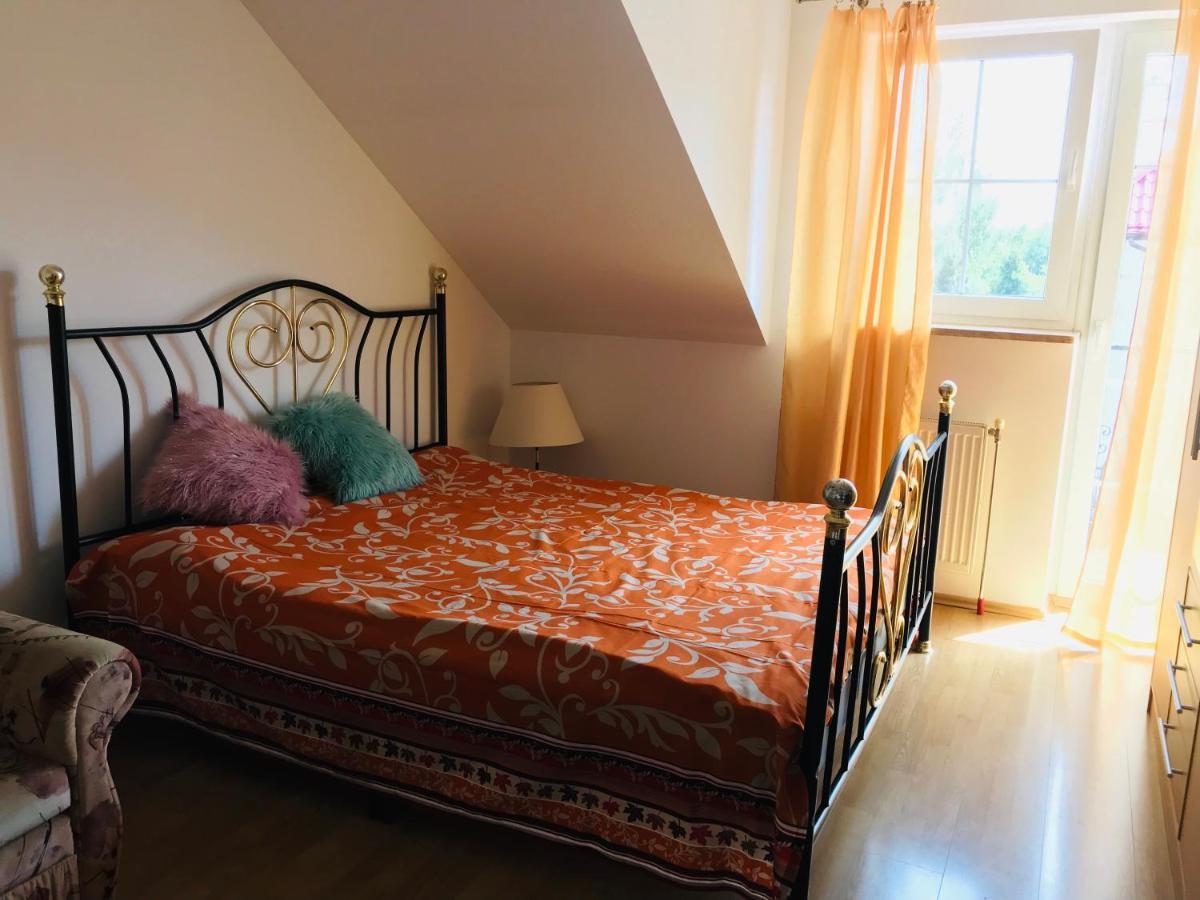 Homestay Dandelion *