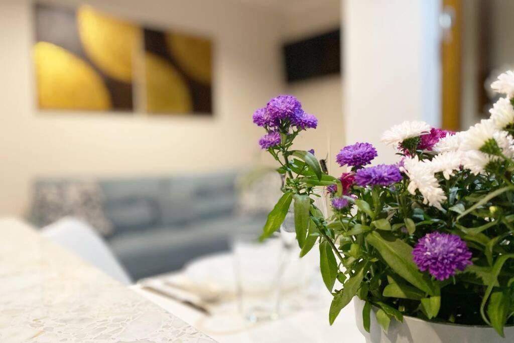 Exclusive 2br! Near City Center +netflix Apartment *
