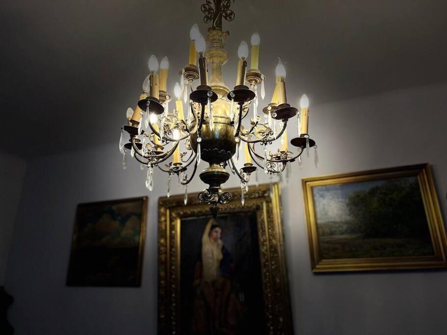K22 Muzeum Centrum Apartamento *