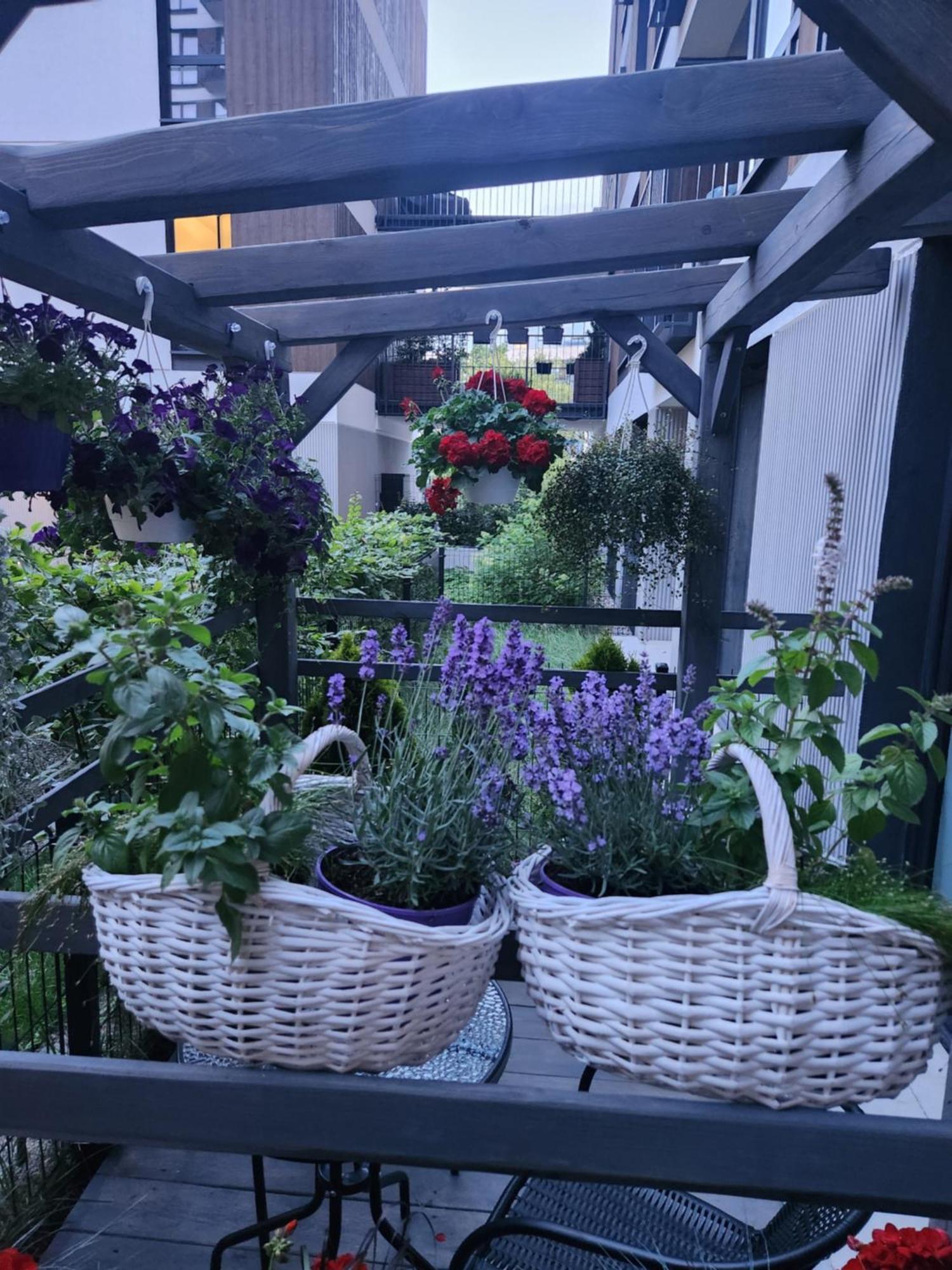 House - In With Private Jacuzzi, Full Access To Sauna, Gym And Billards - Studia Z Prywatnym Jacuzzi Oraz Dostepem Do Sauny, Silowni I Bilarda Apartment Warschau