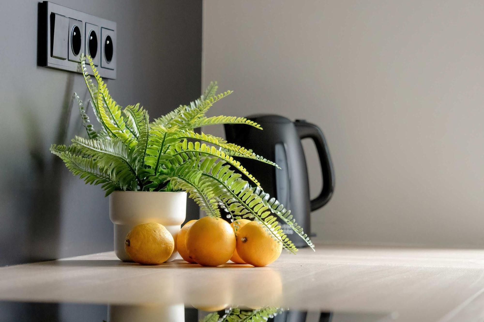 Stylish In With Parking, Bathtub, Balcony, And Desk By Renters