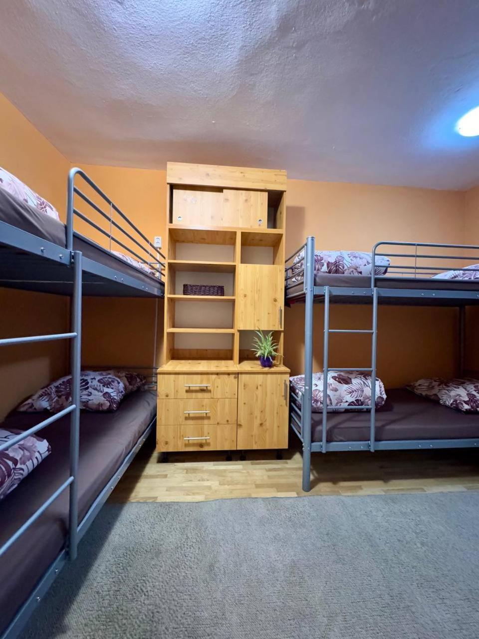 Hostel Vector
