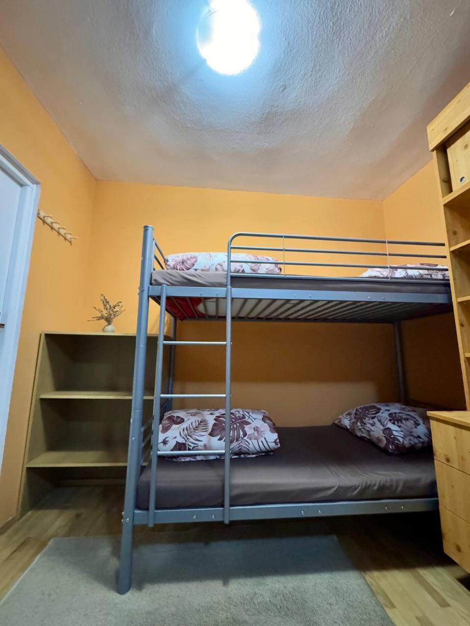Hostel Vector