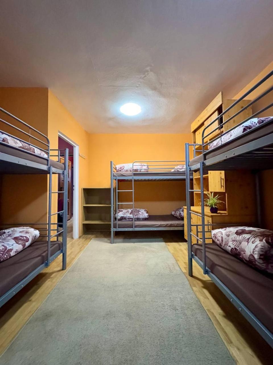 Vector Hostel *