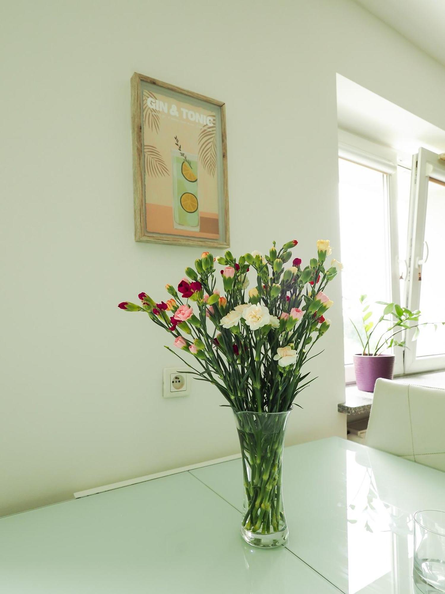 Apartamento National Stadium *