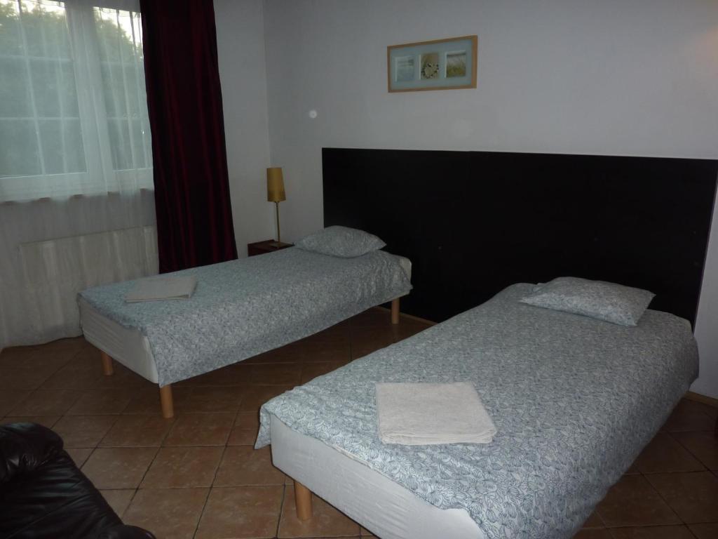 Dandelion Homestay *