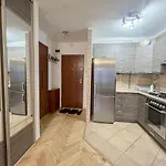 Very Center Fast Internet And Balcony Chmielna 100