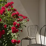Doma Studios