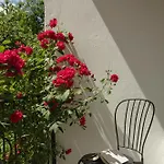 Doma Studios