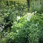 Warsaw Garden Relax Apartment