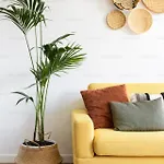 Excellent Apartment In The Old City