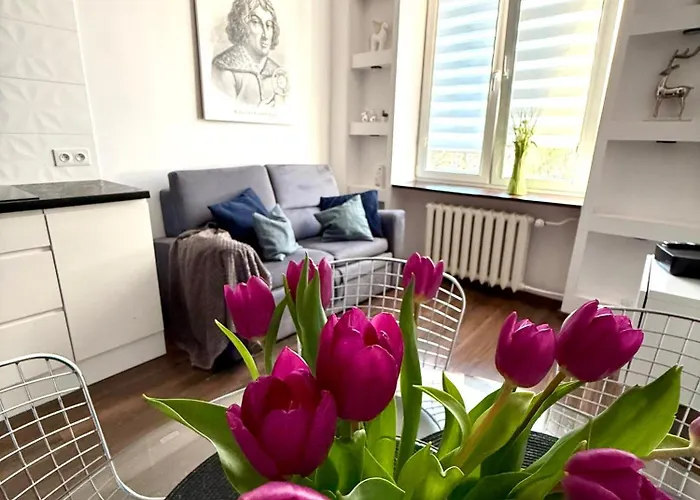 Space Apartment 2 Rooms Center