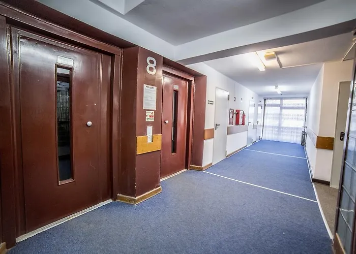 Top Floor Hostel