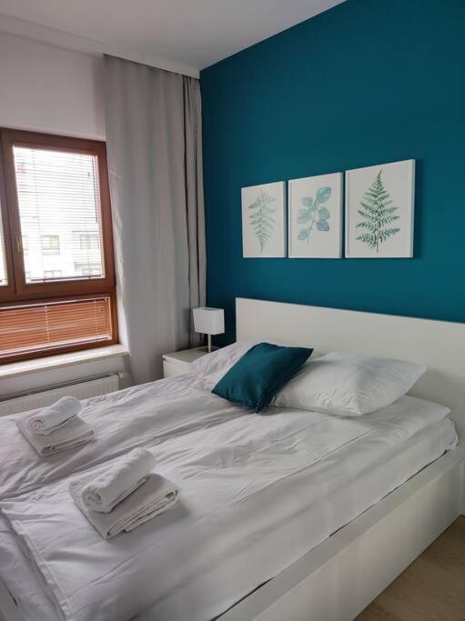 Apartment Lovely Vis-a-vis Medicover And Paley Institute *