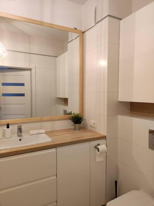 Apartment Lovely Vis-a-vis Medicover And Paley Institute