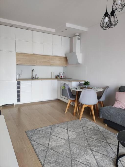 Lovely Vis-a-vis Medicover And Paley Institute Apartment Warsaw